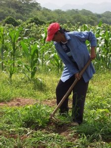 VZagtour6_07133-vi[1]