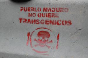 316041_10151574119233826_300007510_n