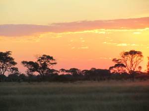 1uvmya-4305465fc66bff213f9584dd3a7b29961366897766170048193700