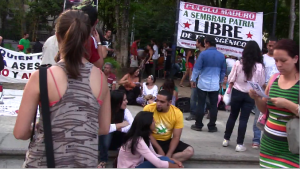 guerrillla agroecolgica