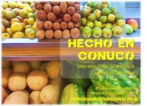 936288_531903210179611_1036022186_n