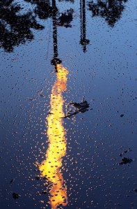  Toxic dumping by Chevron Texaco in Ecuador: Chevron, formerly Texaco, is alleged to have dumped billions of gallons of crude oil and toxic waste waters into the Amazonian jungle over two decades. This oily pond is at the oil production site of Guanta, near the city of Lago Agrio. Ecuador's recent bill of rights for nature has changed the legal status of nature from being simply property to being a right-bearing entity. Campaigners hope this will stop similar ecological disasters from happening again. Photograph: Remi Benali/Corbis 