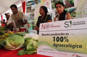 agroecologico