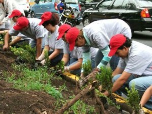 8aee336c-a194-4980-8e06-3334fd4496a8