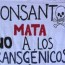 VENEZUELA AND THE BATTLE AGAINST TRANSGENIC&nbsp;SEEDS
