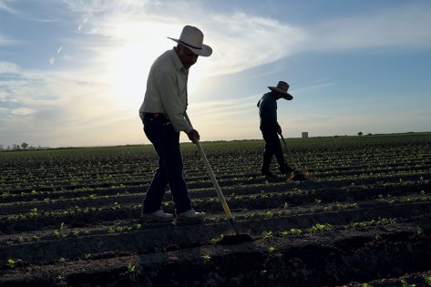migrant-fieldworkers-farm-workers