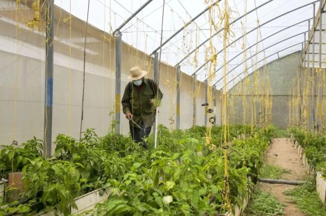 At Gramoven they are going all out for food&nbsp;production.